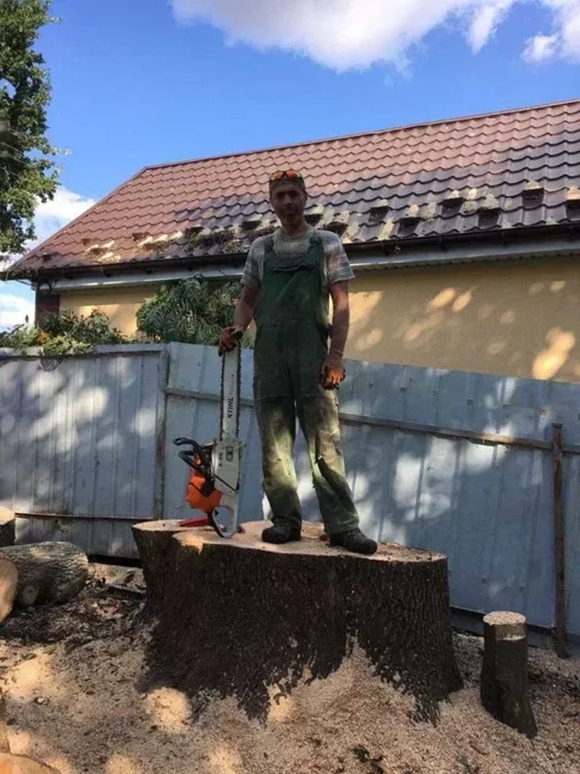 Зрізати, срезать, видалити дерево. Арборист. Розчистка ділянок