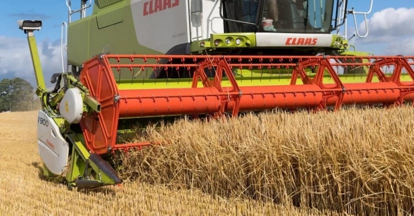 Жниварка CLAAS - V900 для професійного збирання зернових та ріпаку.