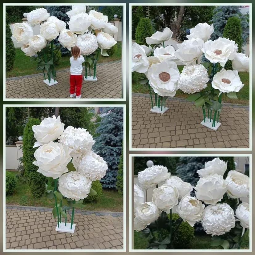 Квіти декоративні