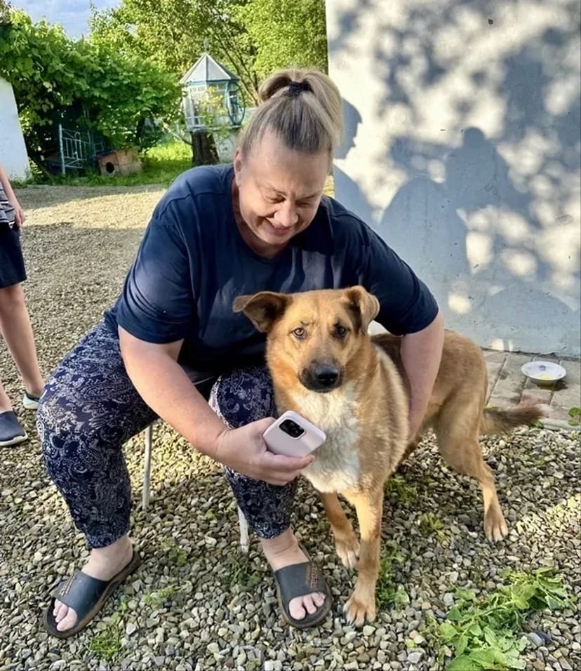 Зоотаксі: комфортне та безпечне превезення котів і собак