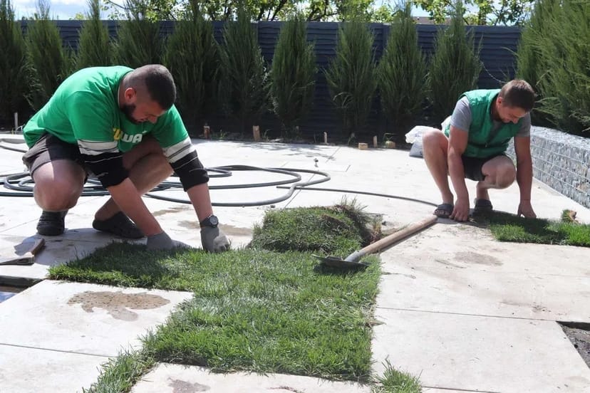 Зняття дерну, дерноріз