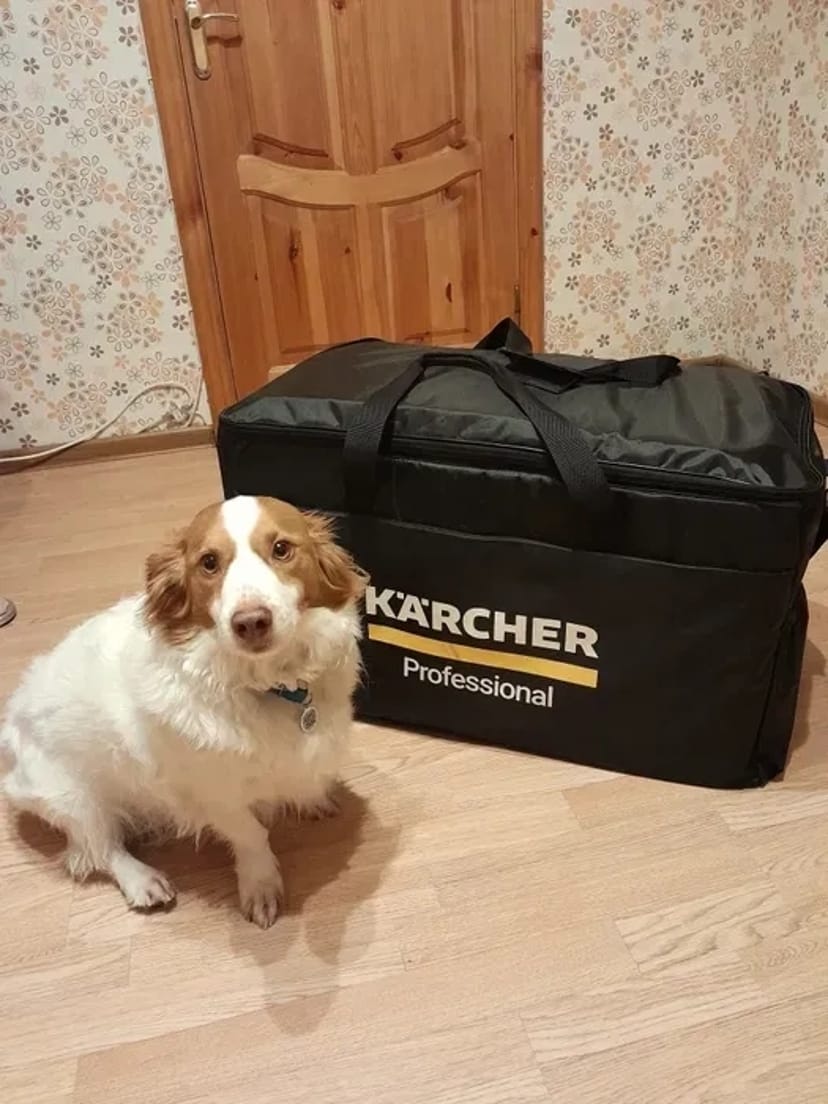 Миючий пилосос Karcher