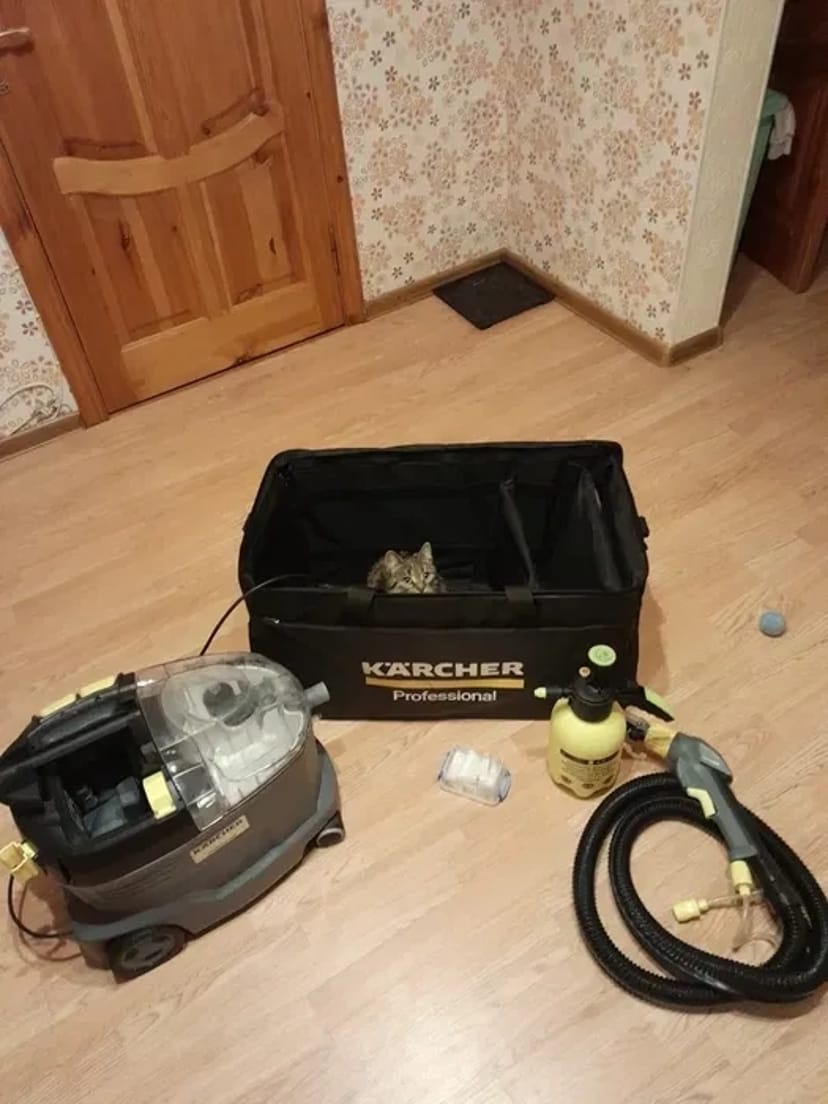 Миючий пилосос Karcher