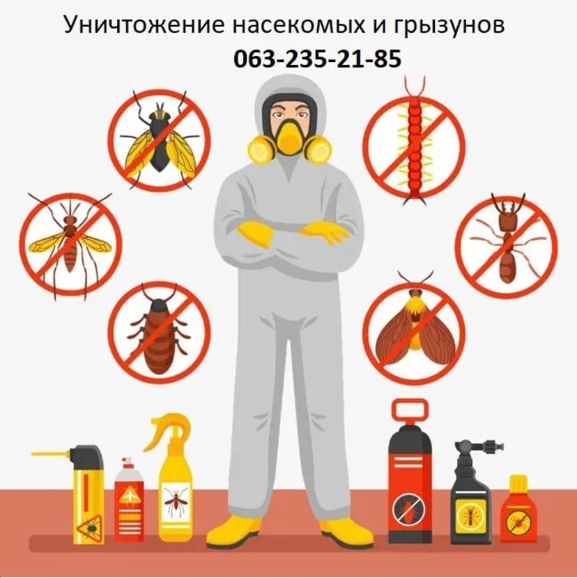 Дезінфекція дезінсекція комах тарганів клопів блох тараканів