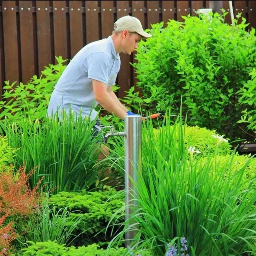 Обрізка плодових, стрижка рослин, обробка, ландшафтні послуги