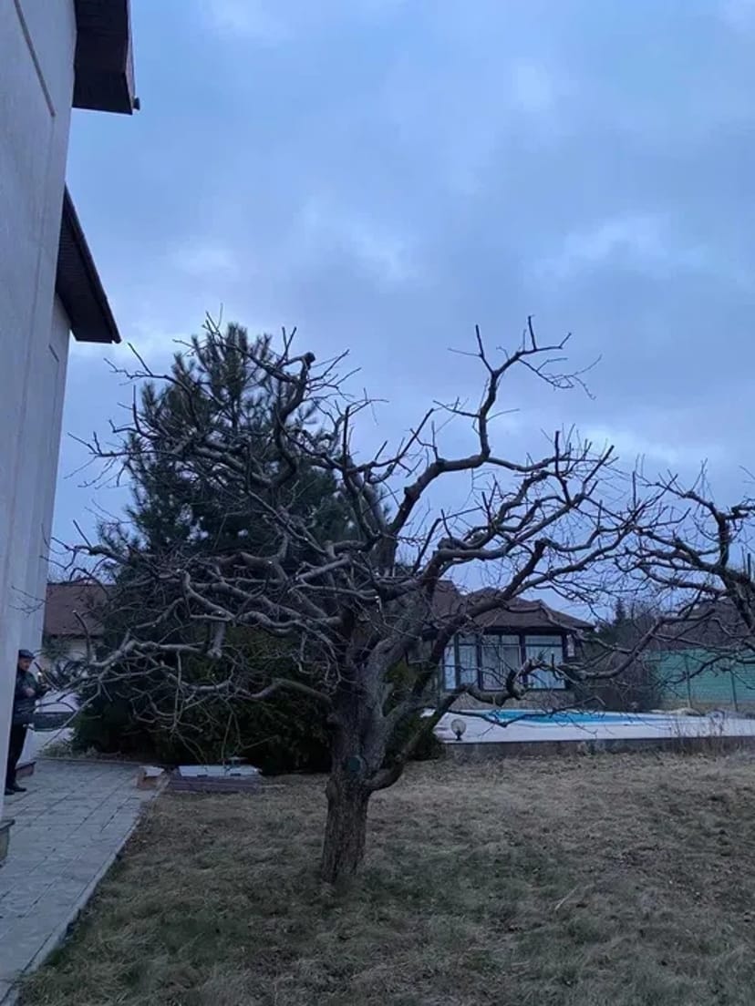 Обрізка плодових, стрижка рослин, обробка, ландшафтні послуги