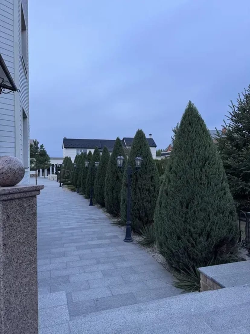 Обрізка плодових, стрижка рослин, обробка, ландшафтні послуги