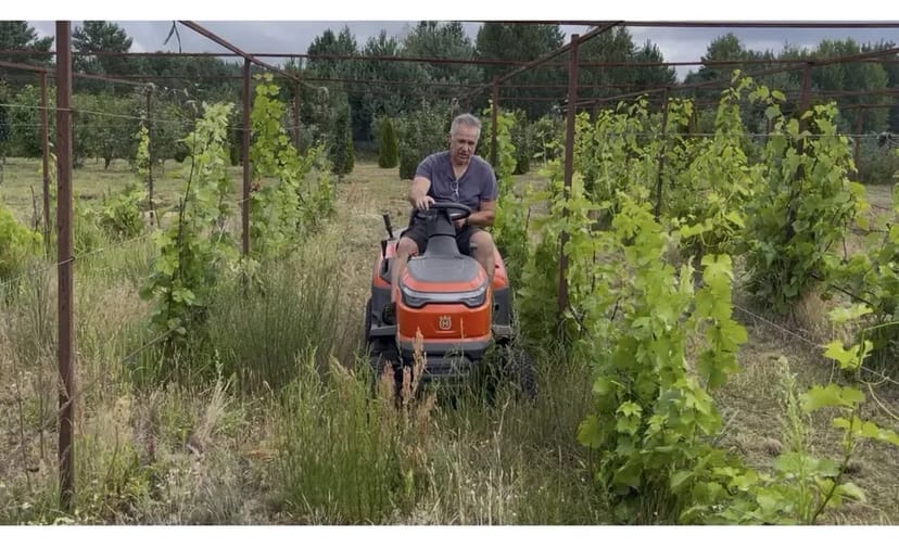 Покос трави, аерація, лікування. Різні об´еми і складність.