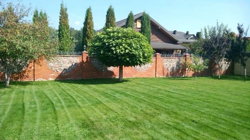 Покос трави, аерація, лікування. Різні об´еми і складність.