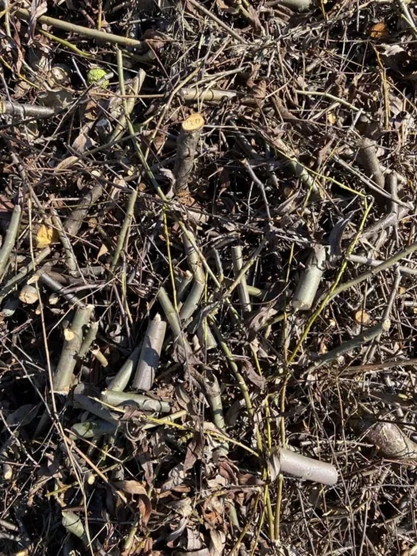 Подрібнювач Гілок до 80мм