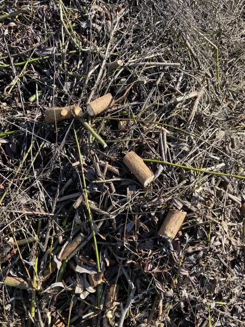 Подрібнювач Гілок до 80мм