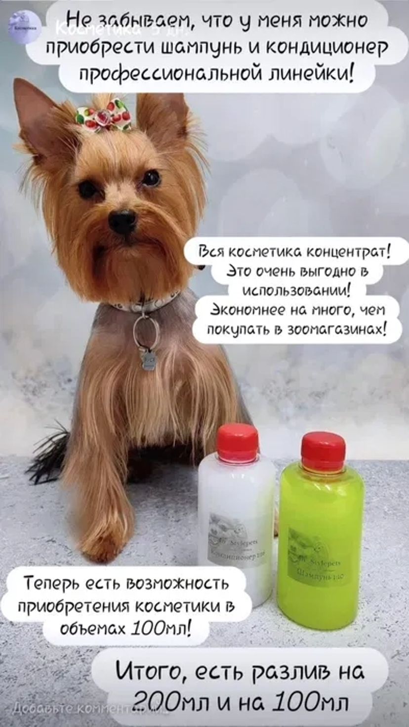 Працюю і без світла! Стрижки котів та собак