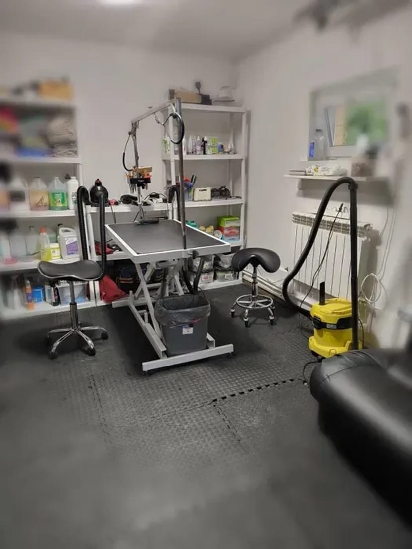 Стрижка собак,кошек,разных пород, не дорого,Борисполь и область