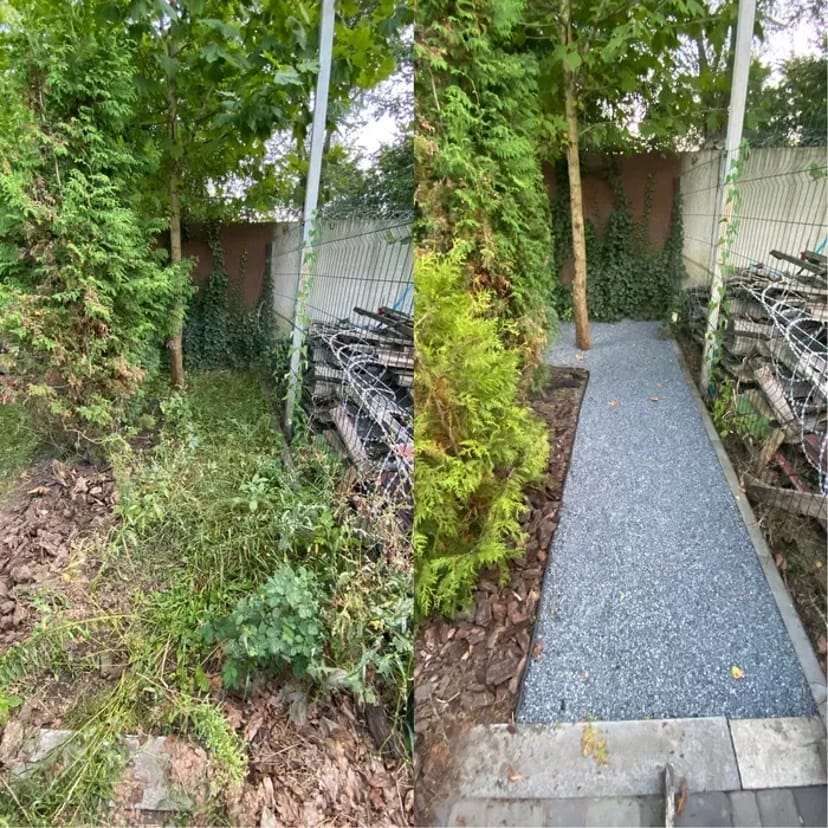 Ландшафтний дизай під ключ,озеленення двора