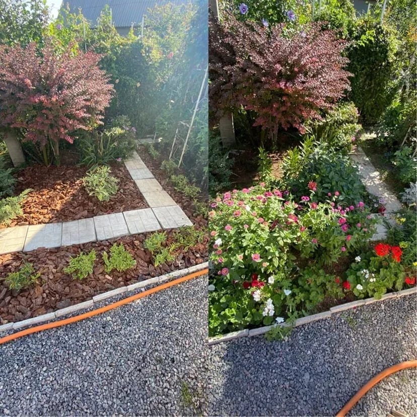 Ландшафтний дизай під ключ,озеленення двора