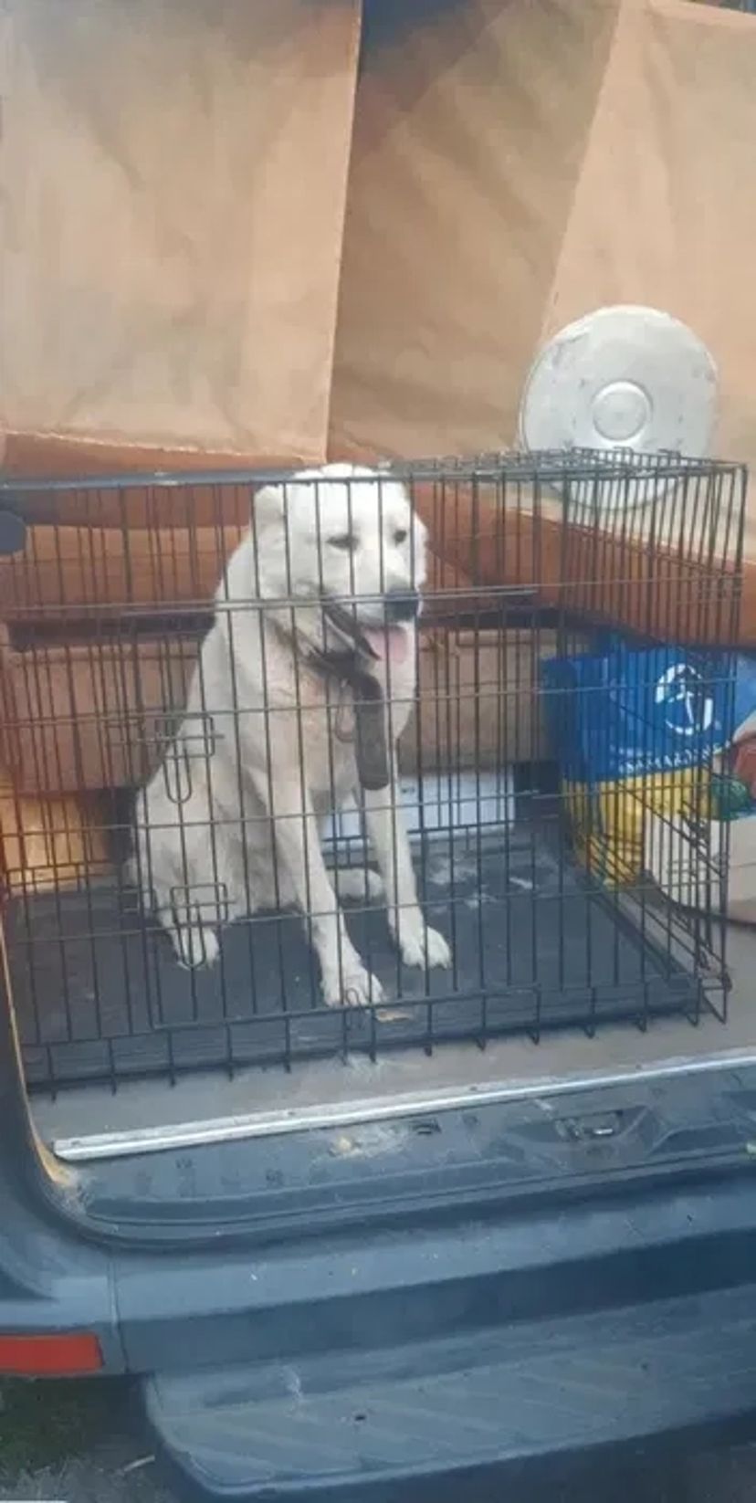 ВАНТАЖОПЕРЕВЕЗЕННЯ Домашній / Квартирний Переїзд - 17 грн/км