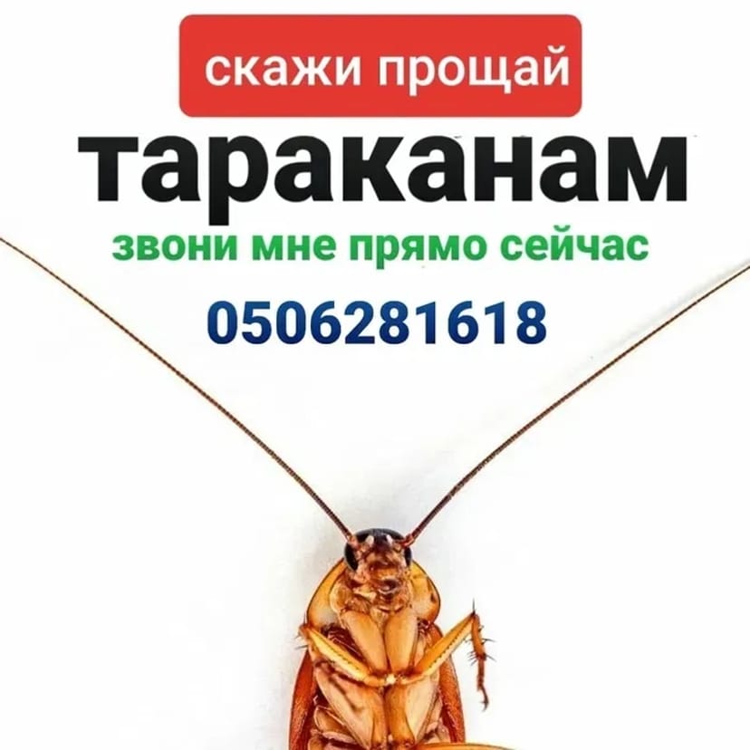 Знищення прусаків, тарганів, клопів бліх та мурах