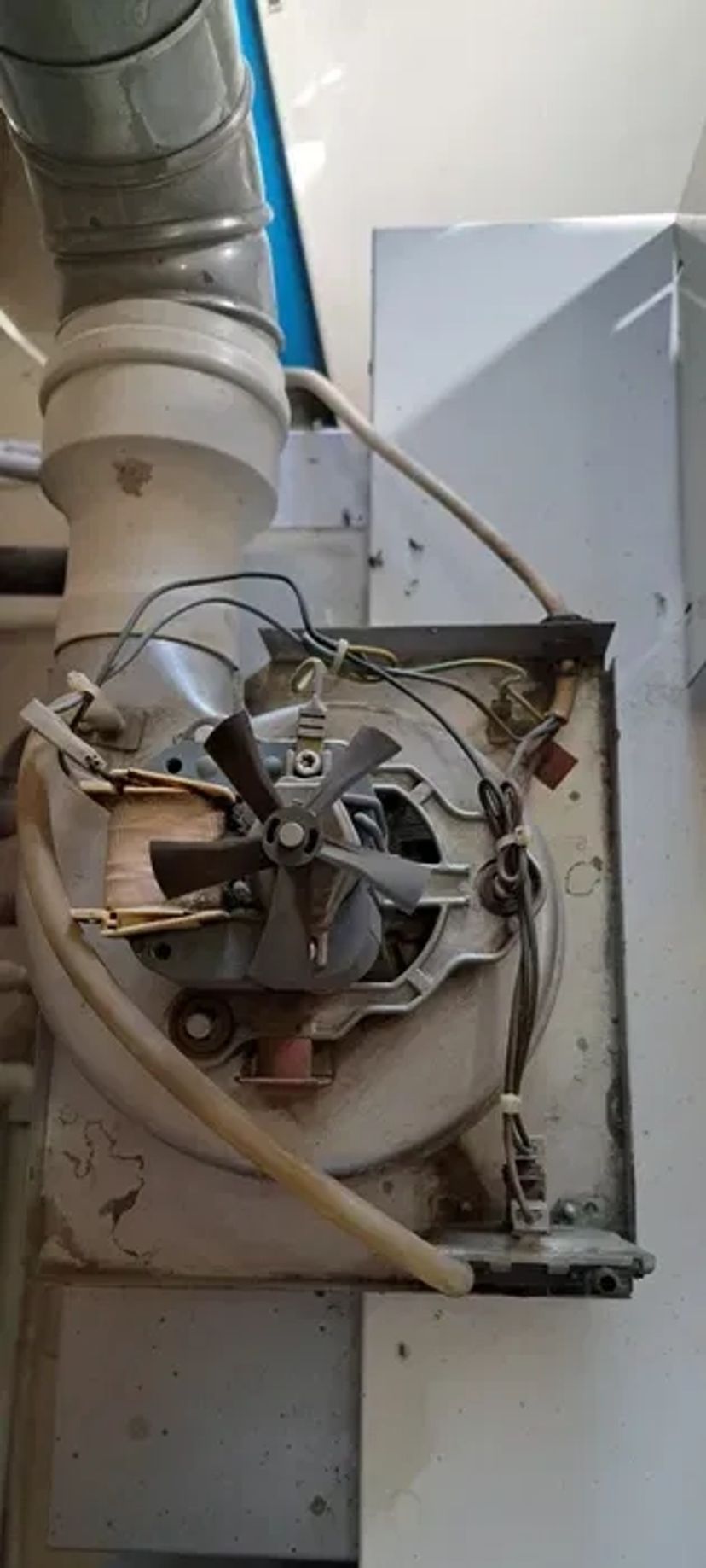 Ремонт та обслуговування газових котлів. Даємо гарантію на виконані роботи!