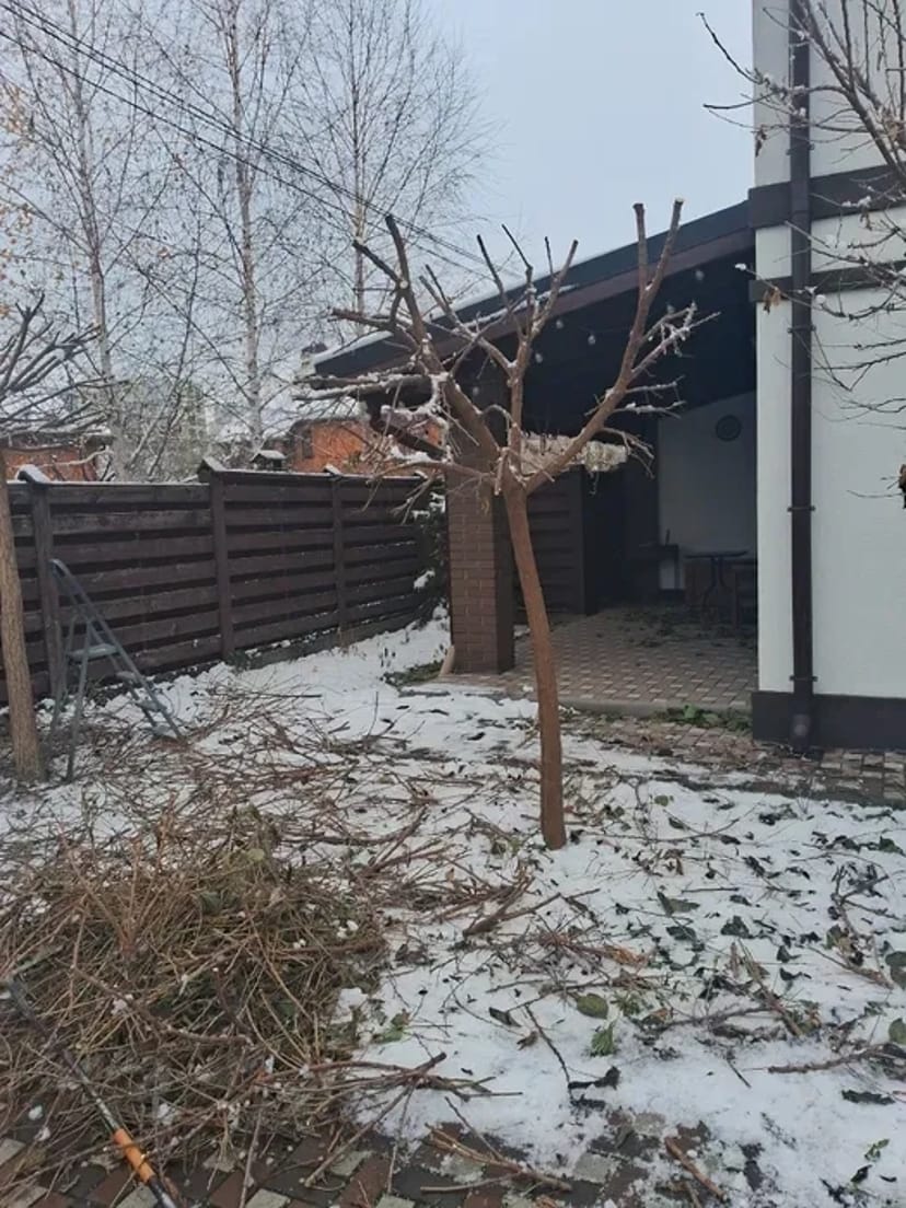 Спил, обрізка плодових, розпил дров