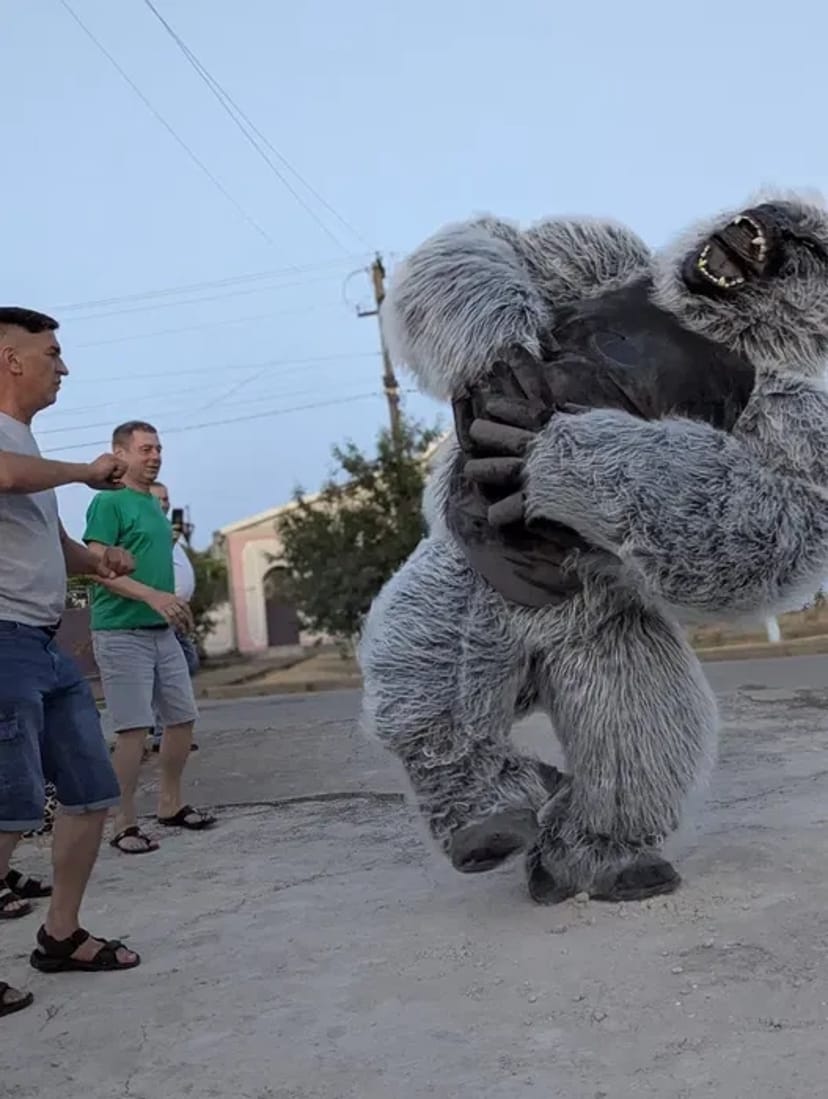 Лабубу.аниматоры Миколаїв, Ведмідь, Заяць, Шрек, Панда, Стіч, Горілла