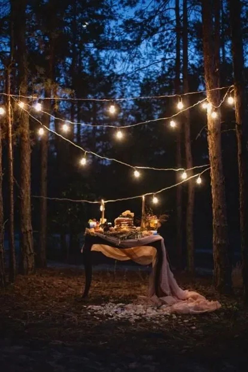 Монтаж гірлянд з лампами розжарювання 199грн ретро лампочки