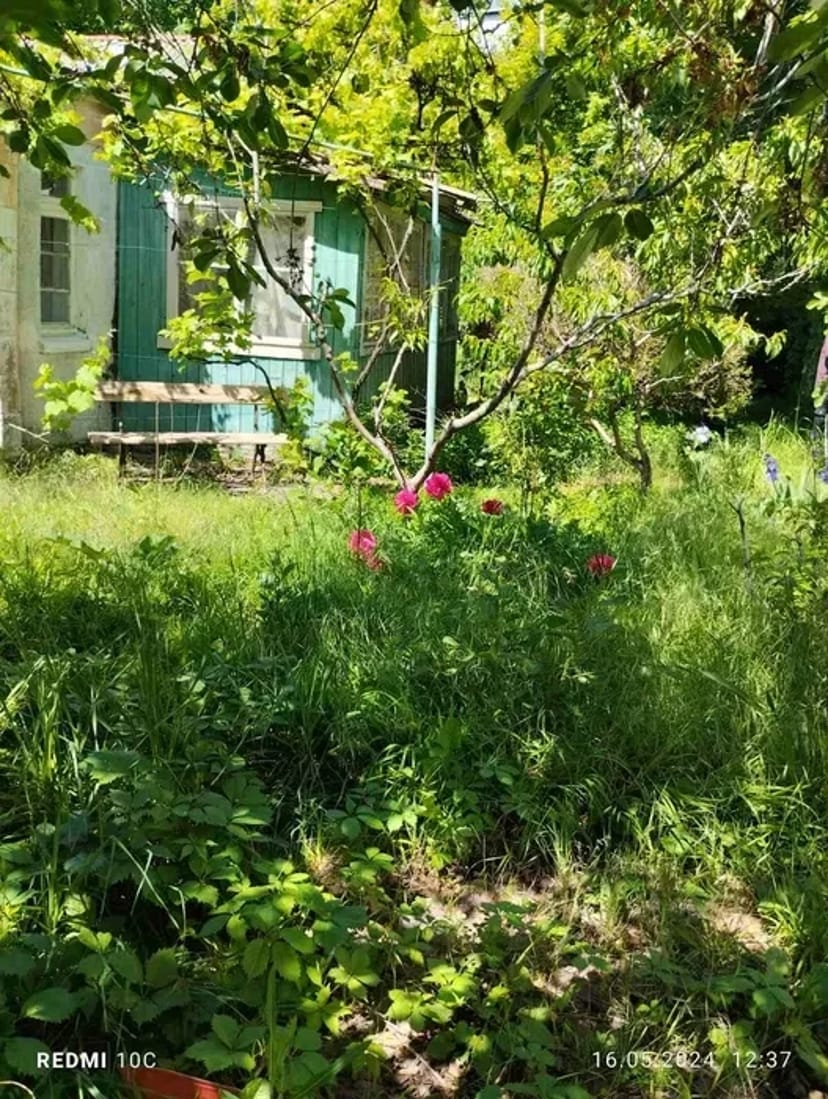 Покіс трави, бур'яну. Прибирання ділянки. Покосити траву. Вивіз сміття