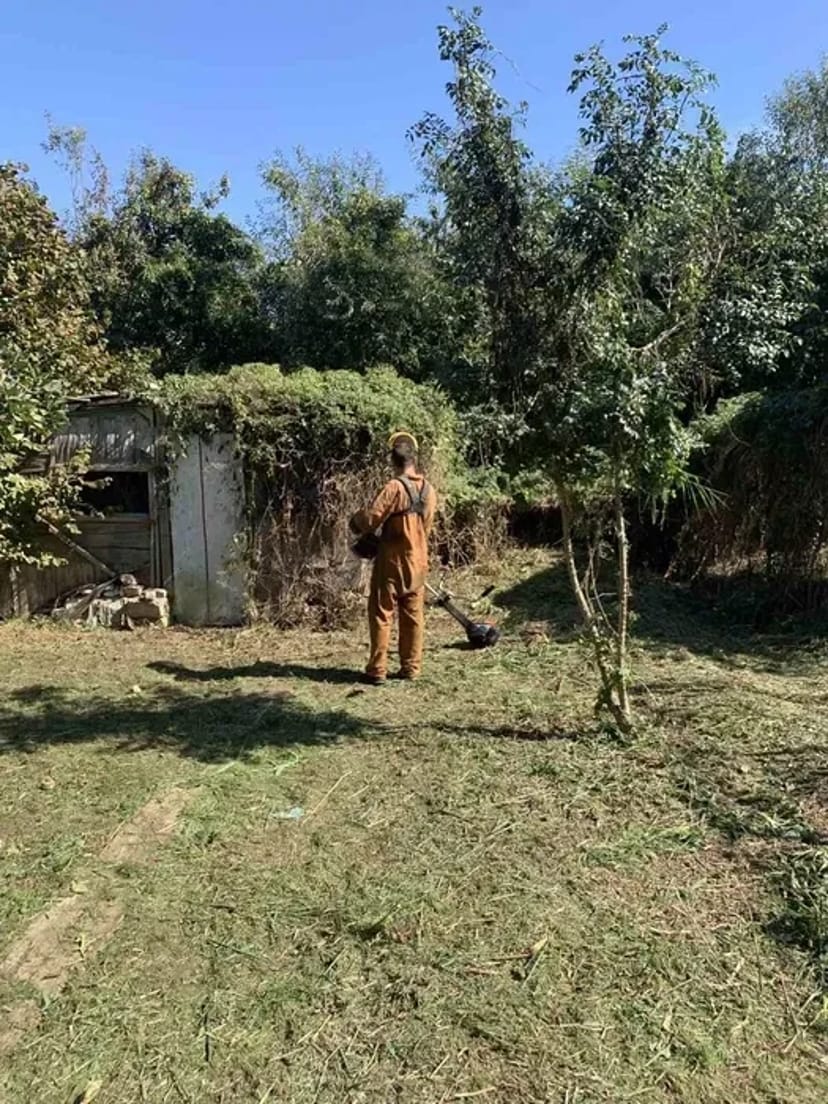 Покіс трави, бур'яну. Прибирання ділянки. Покосити траву. Вивіз сміття