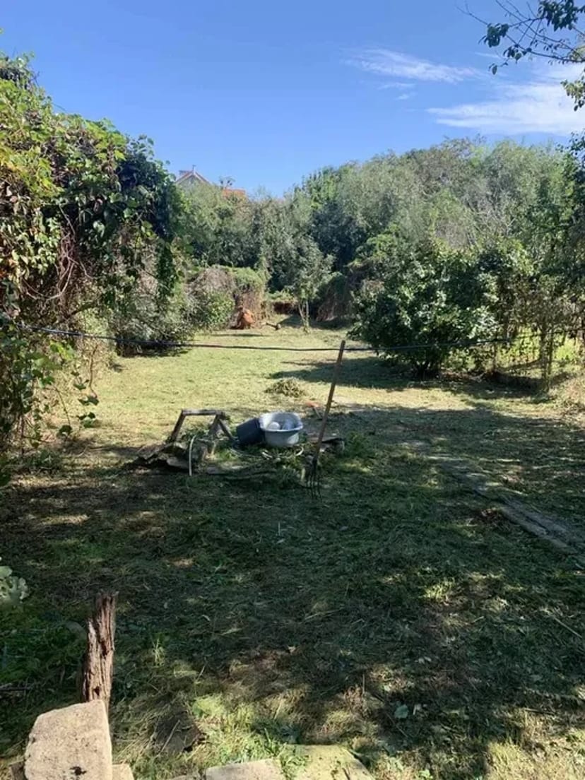 Покіс трави, бур'яну. Прибирання ділянки. Покосити траву. Вивіз сміття