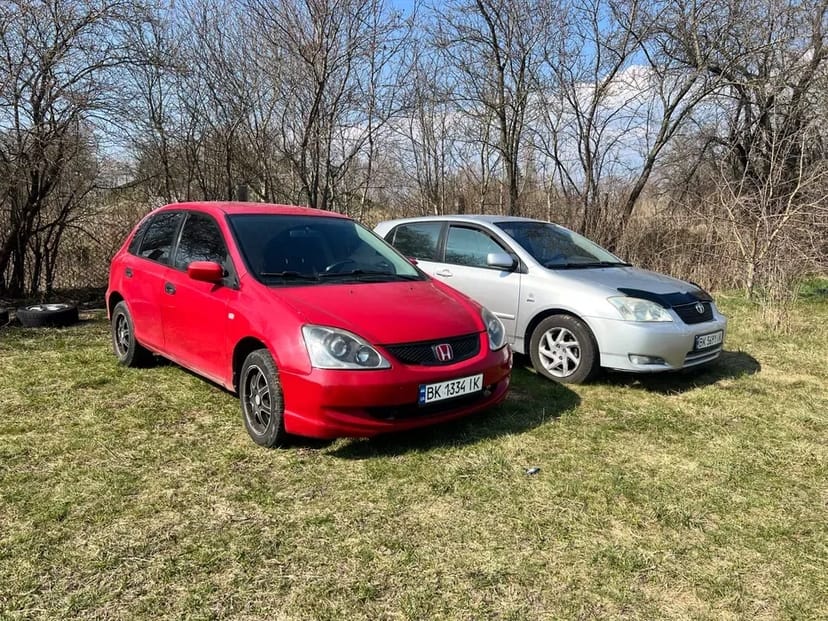 Авто rental cars