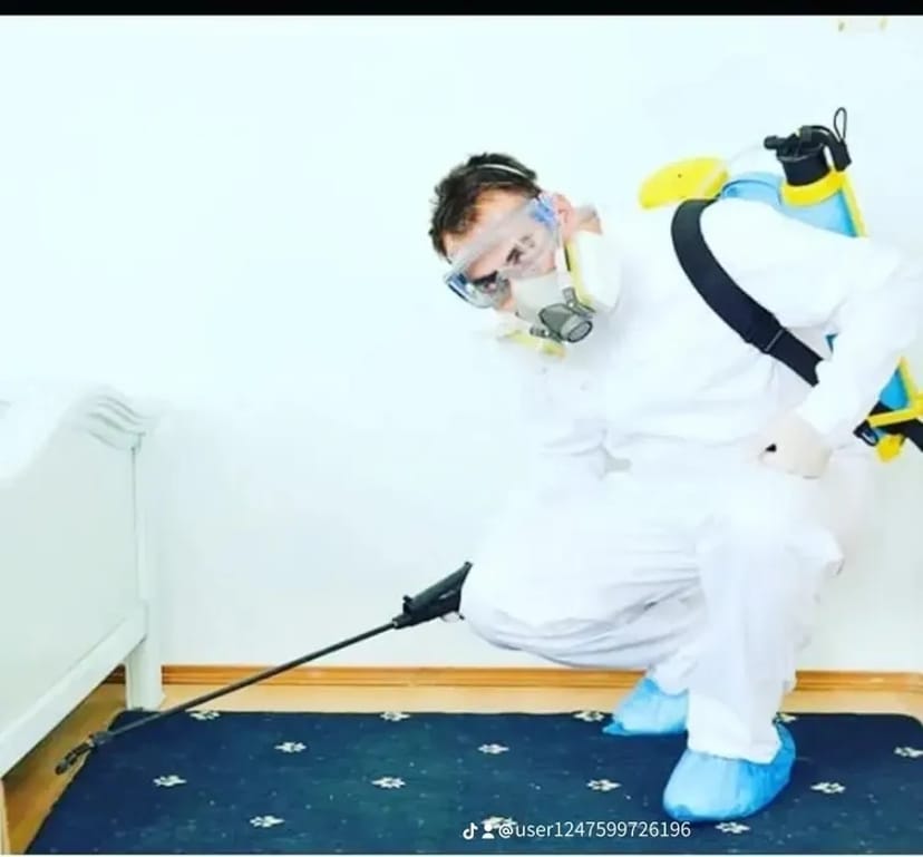 Знищення тарганів в кафе у магазинах по барах сушах та квартир