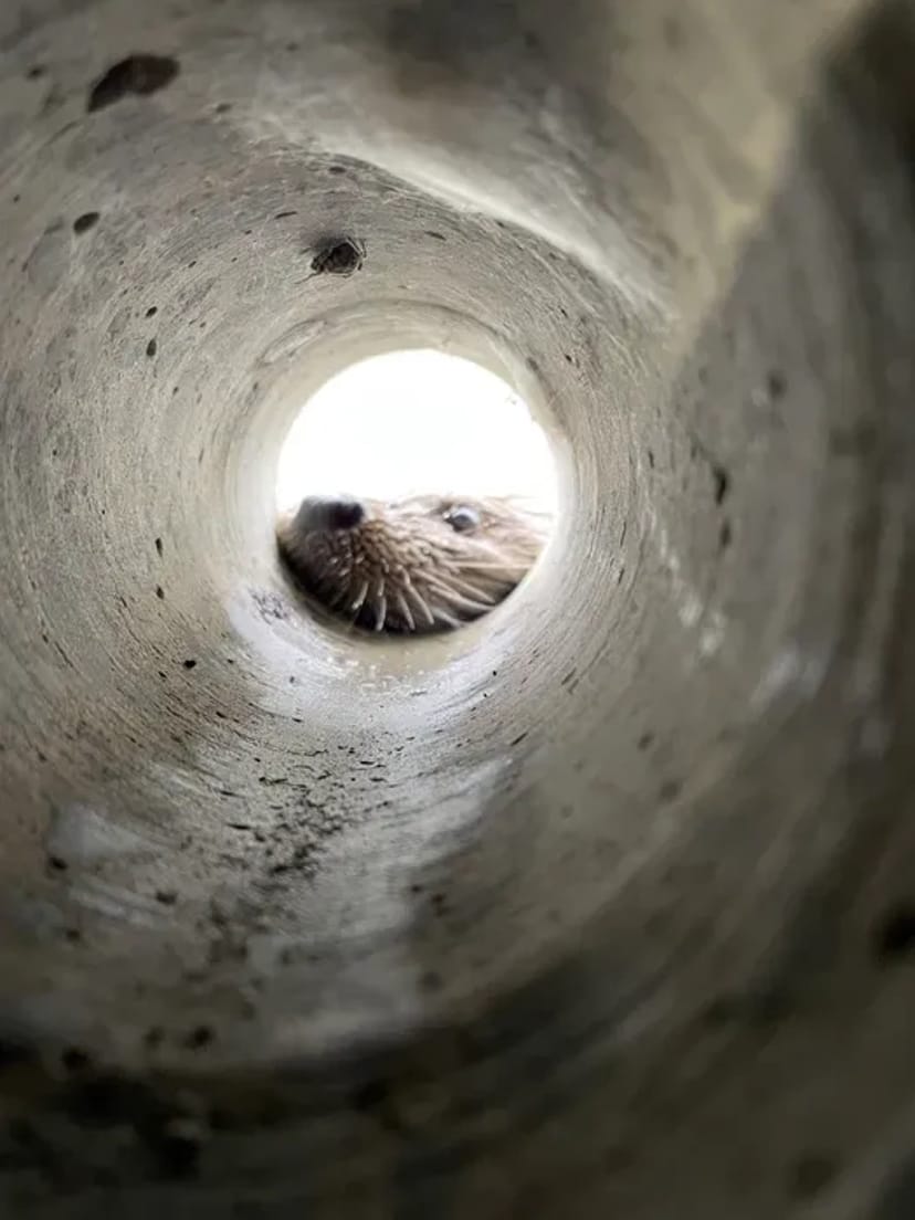 Алмазне свердління , алмазное сверление бурение Рекуператори демонтаж