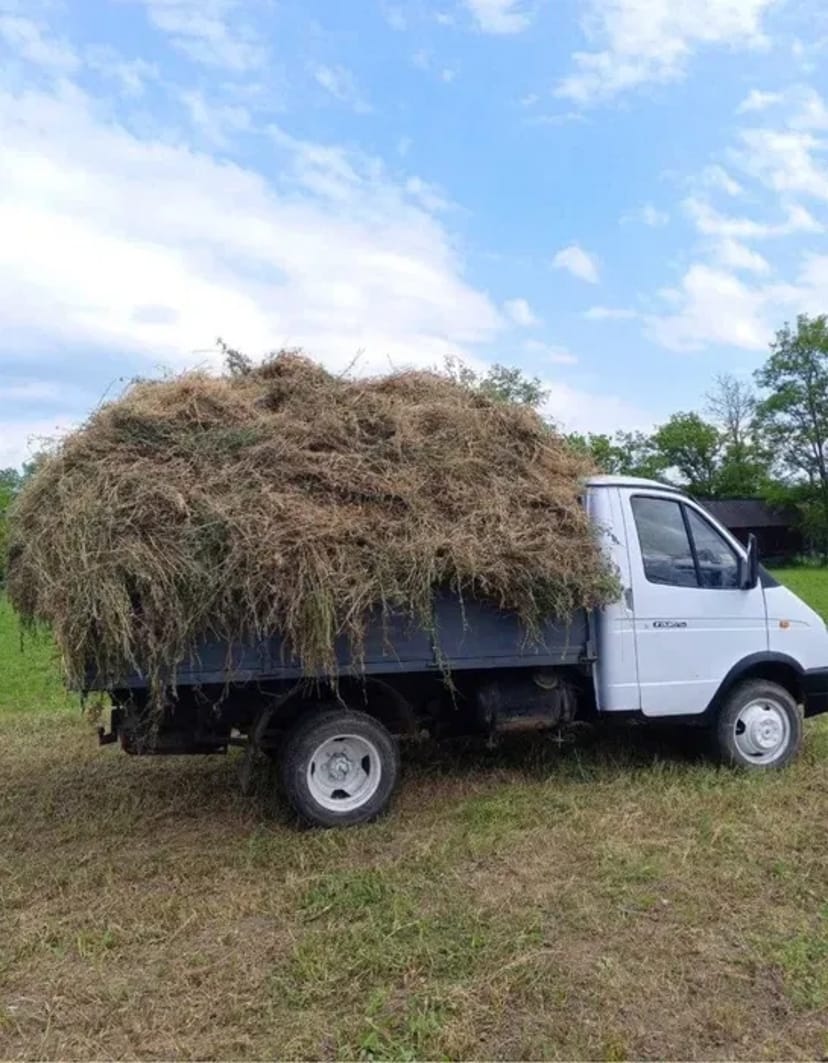 Вывоз мусора , песок,щебень,бетон,отсевторфокрошка,торфобрикет,доставквант