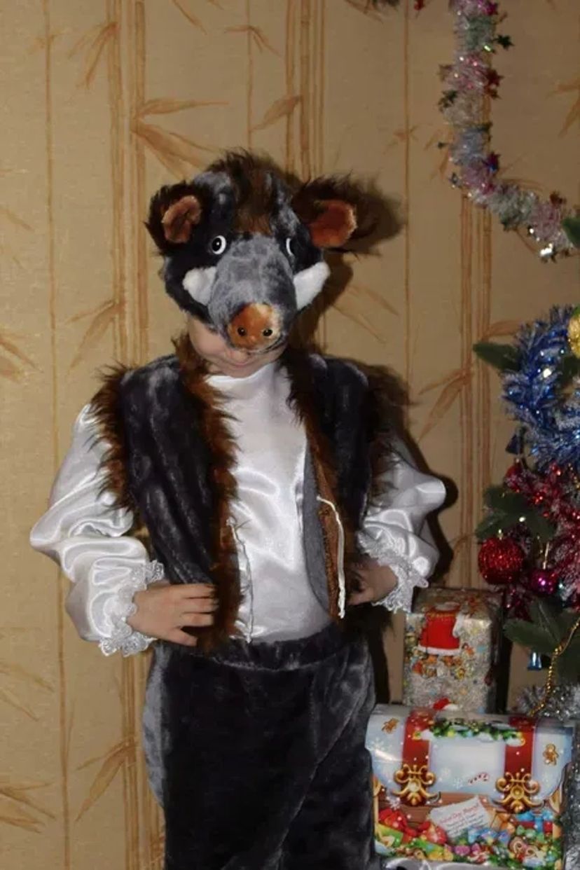 Дитячі костюми Мишеня, Кабан,Лягушка, Вовк, Кіт, Ведмідь Київ