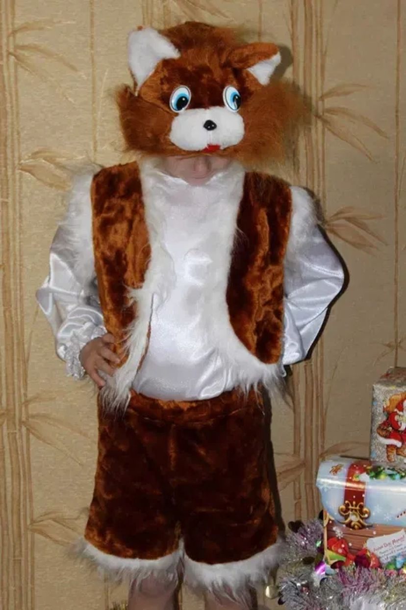 Дитячі костюми Мишеня, Кабан,Лягушка, Вовк, Кіт, Ведмідь Київ