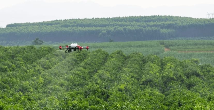 Дисикація агродроном XAG XP 2020