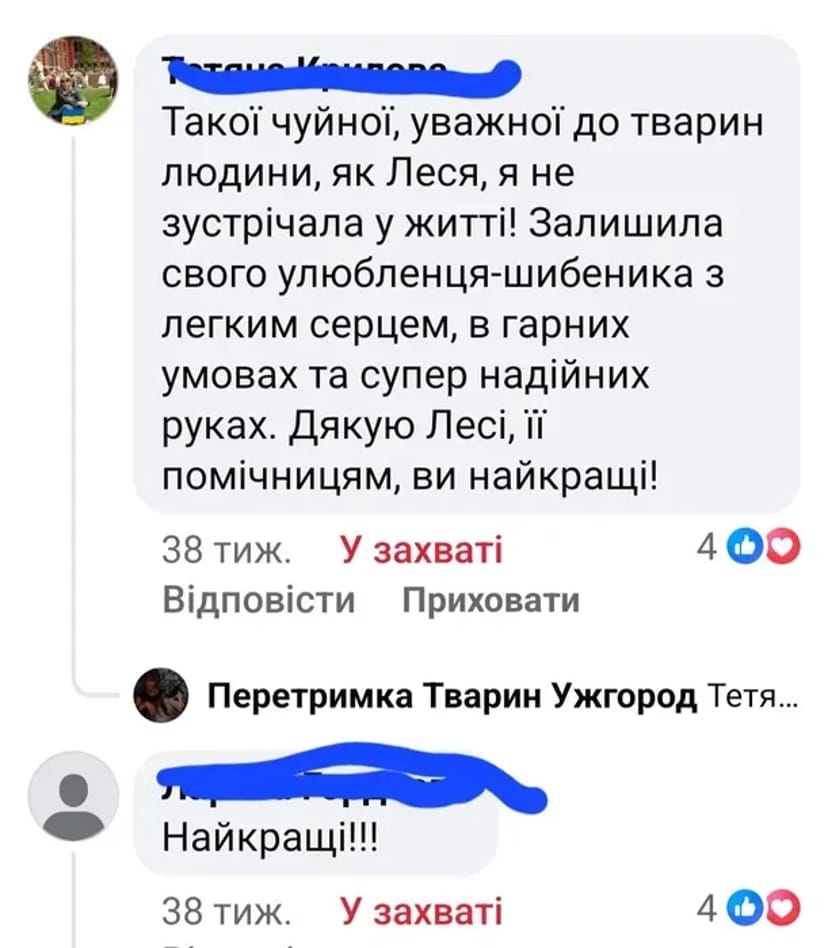 Перетримка тварин. Комфортний готель