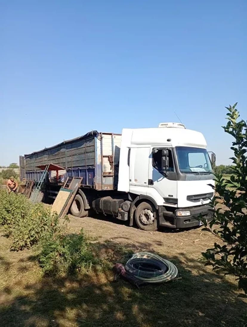 Услуги по перевозке грузов и организации переездов любой сложности!