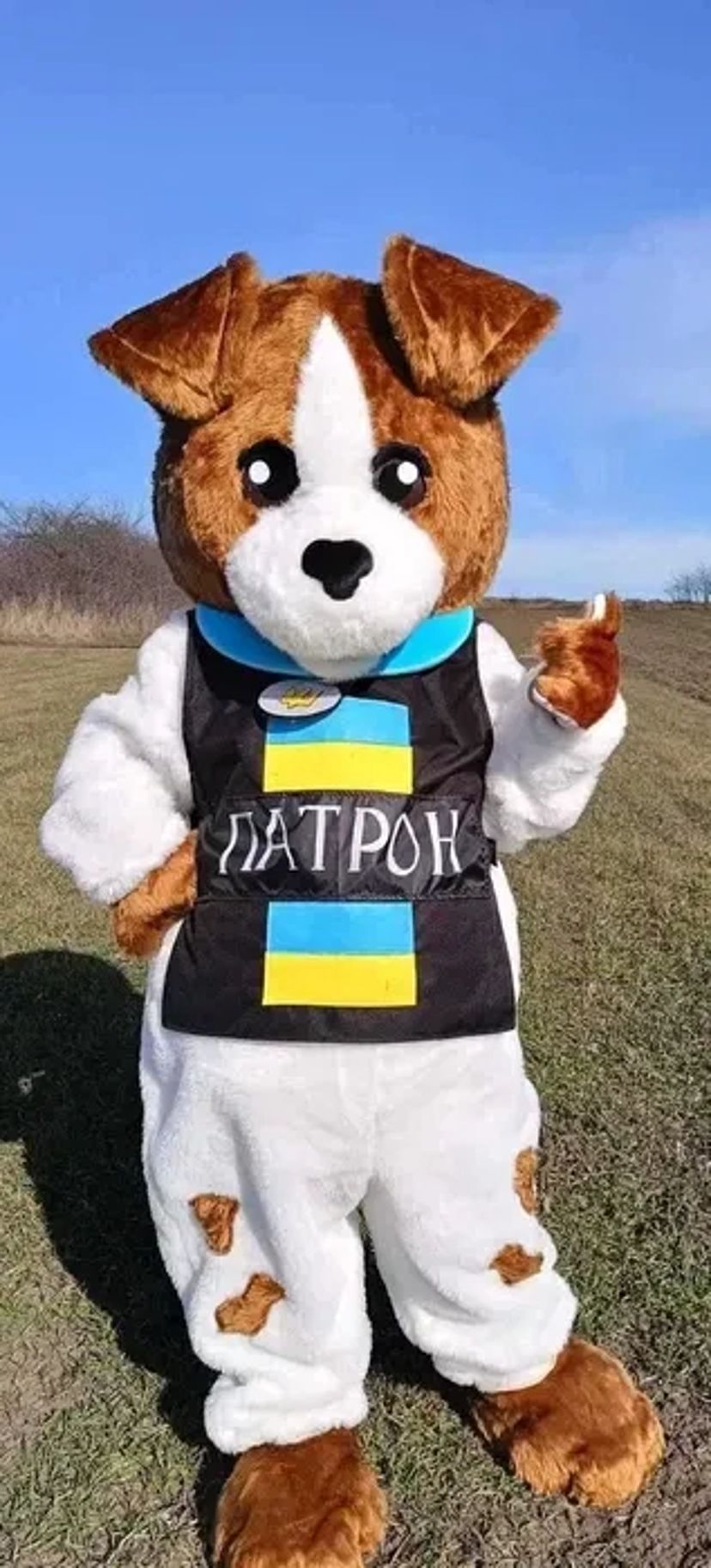 Аніматор Дабубу Привітання Житомир /Пес Патрон/Білий Зайчик/