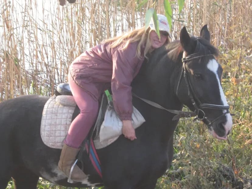 Конные прогулки Фотоссес