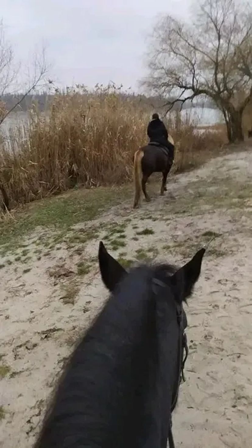 Конные прогулки Фотоссес