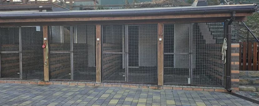 Готель для собак