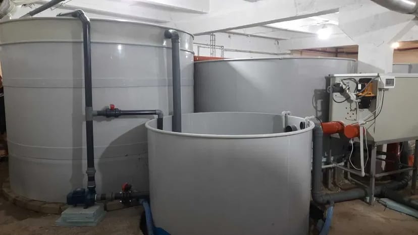 Будівництво УЗВ під ключ — комплексні рішення для рибоводства