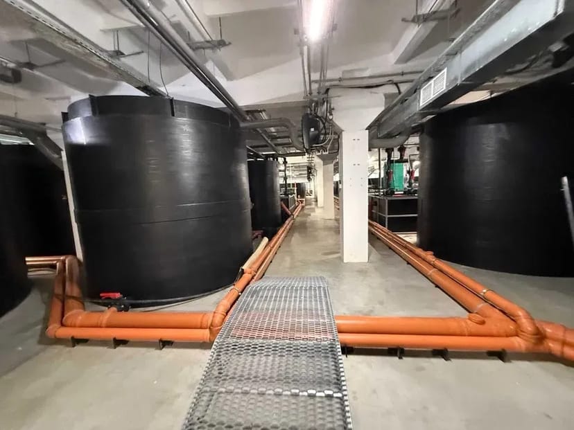 Будівництво УЗВ під ключ — комплексні рішення для рибоводства