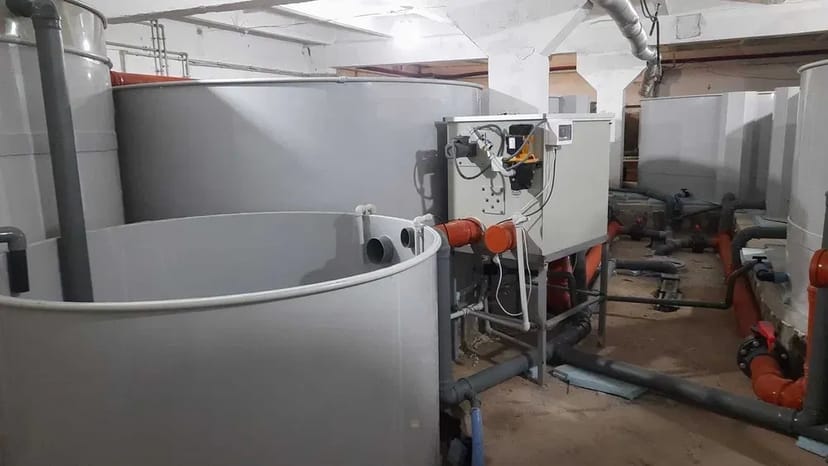 Будівництво УЗВ під ключ — комплексні рішення для рибоводства