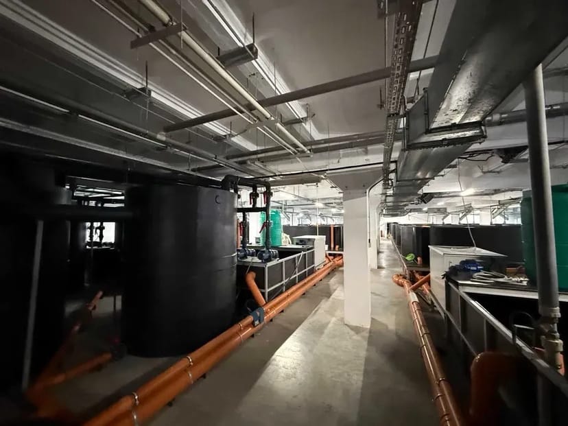 Будівництво УЗВ під ключ — комплексні рішення для рибоводства