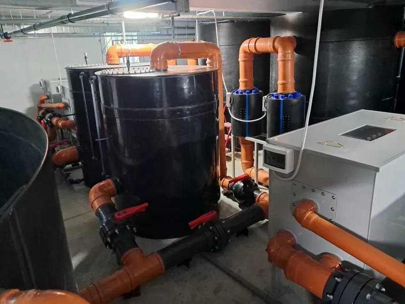 Будівництво УЗВ під ключ — комплексні рішення для рибоводства