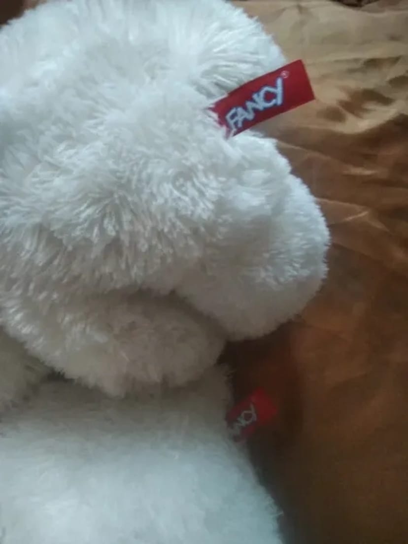 Арка весільна, святкова, ведмедики на весільну машину молодятам.