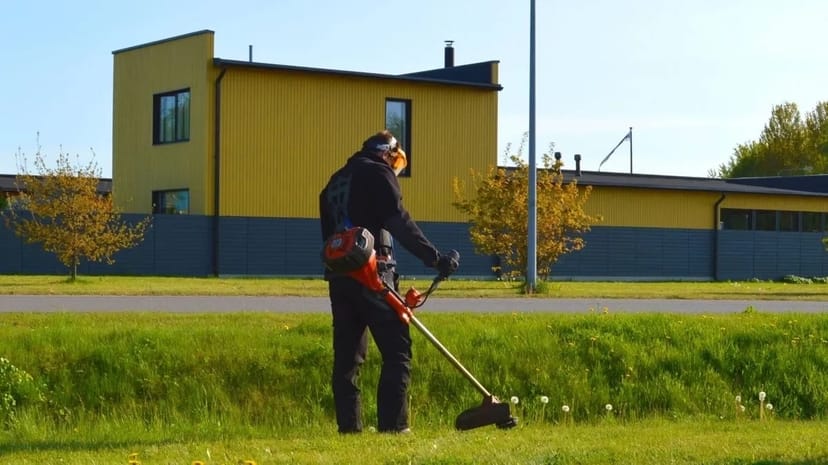 Скіс трави, вирубування чагарників, прибирання території.