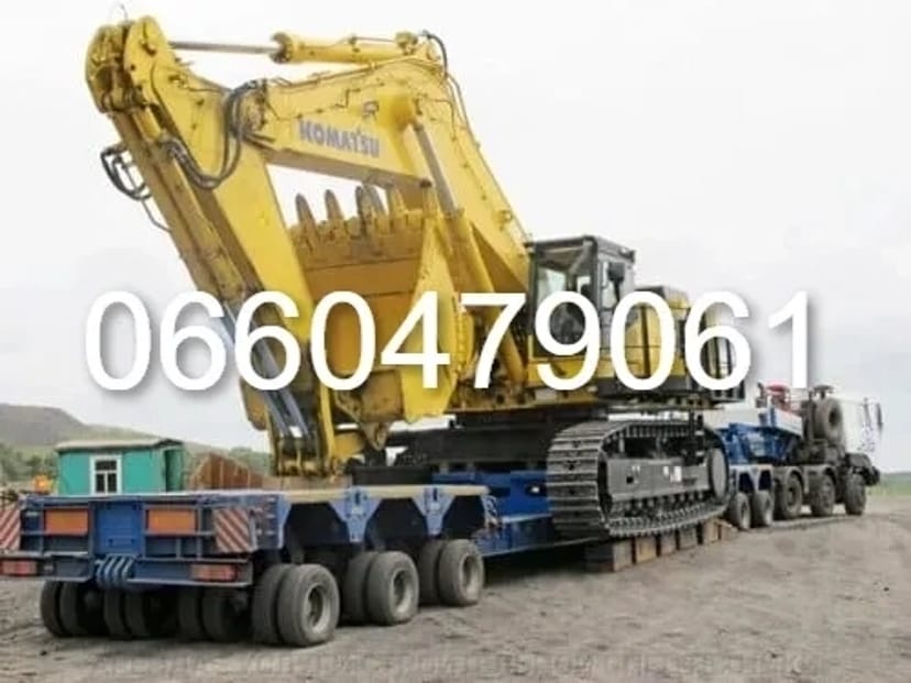 Экскаватор гусеничный петушок трактор