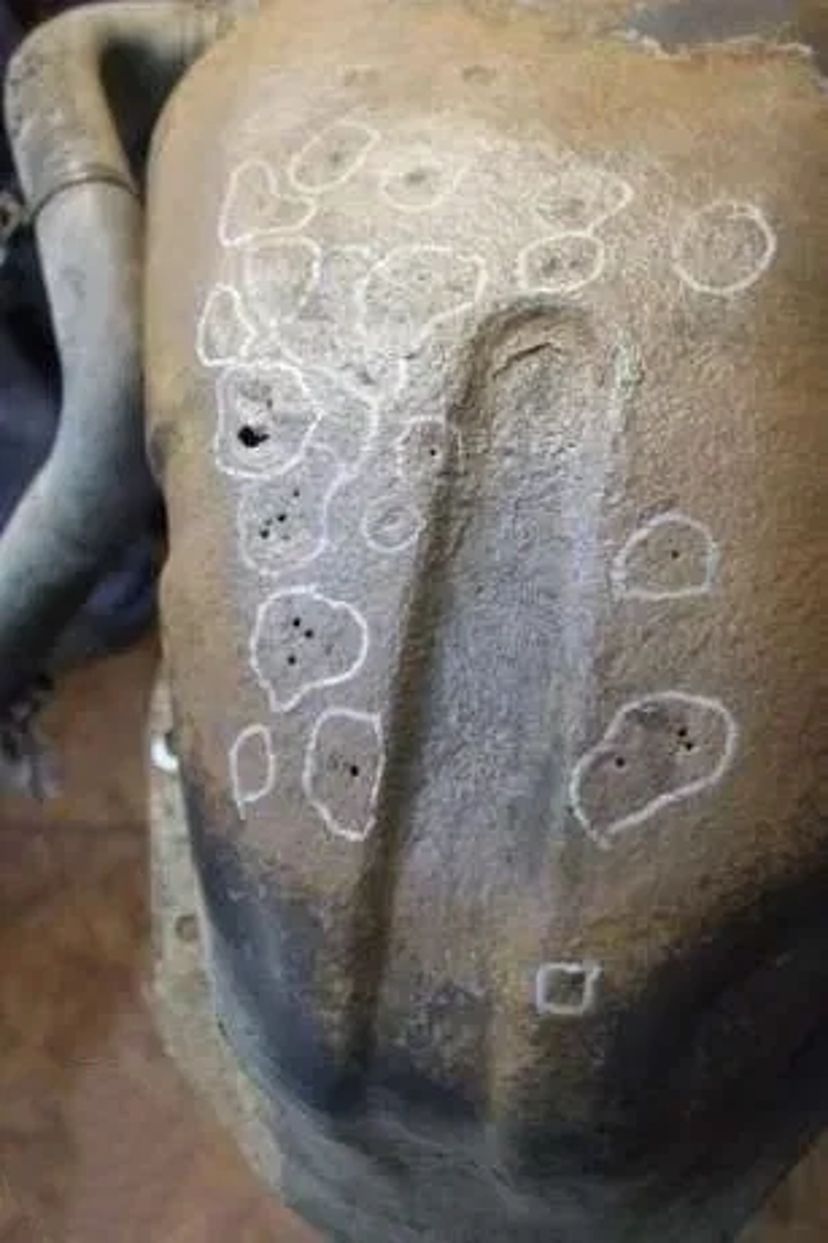 СТО. Наплавлення металу, зварювання. АРГОН. Ремонт радіаторів.